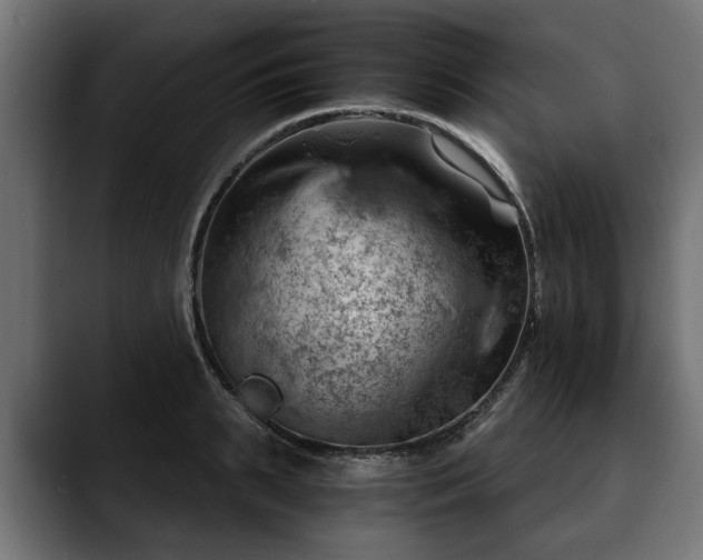 X0000088450895200705291510