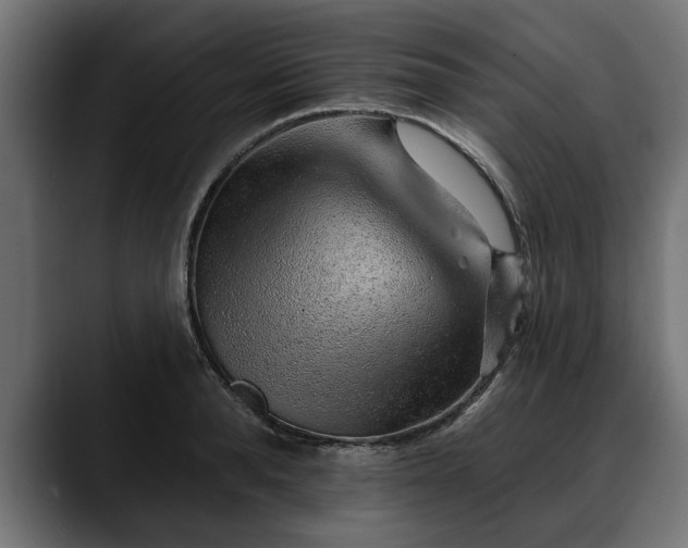 X0000088450896200705291510