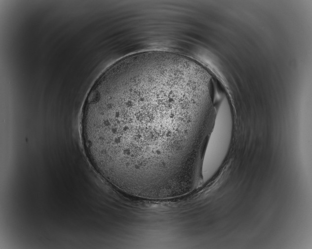X0000088450899200705291510