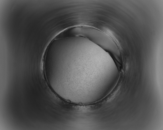 X0000088450900200705291510