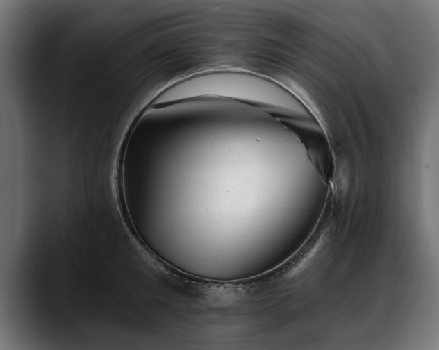X0000088450901200705291510