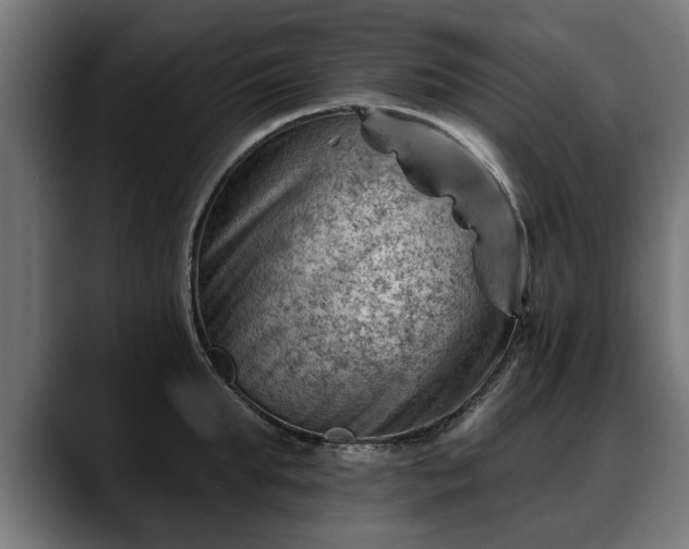 X0000088450903200705291510