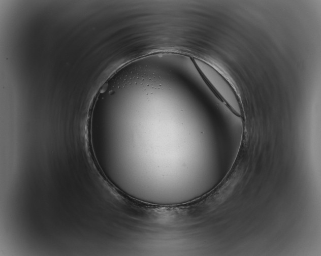X0000088450906200705291510