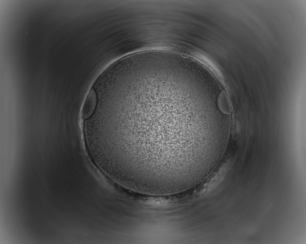 X0000088450907200705291510