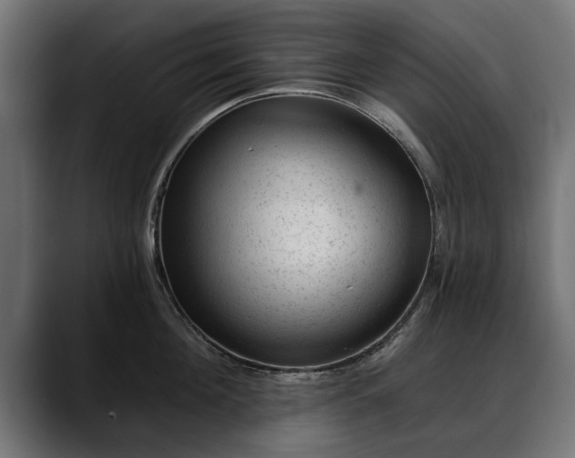 X0000088450908200705291510