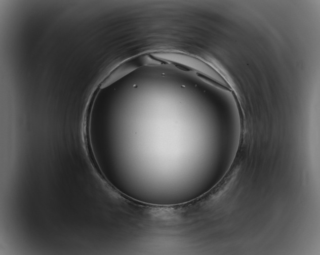 X0000088450909200705291510