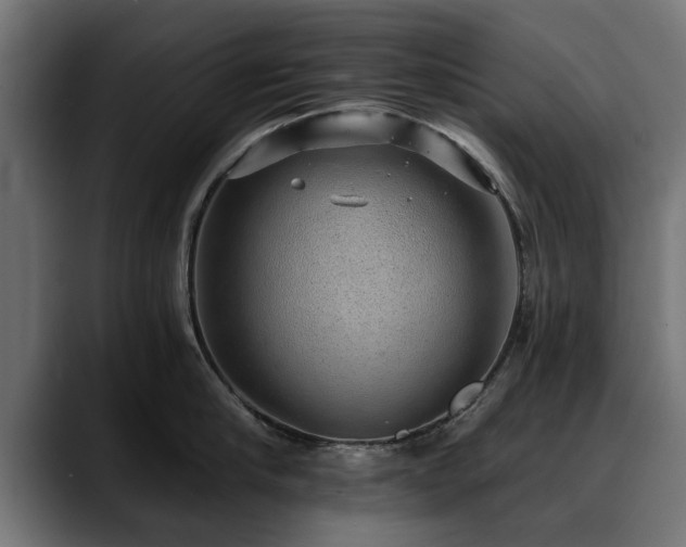 X0000088450910200705291510
