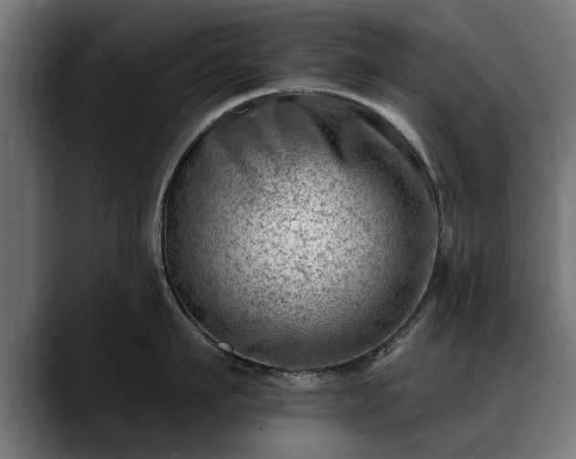 X0000088450911200705291510