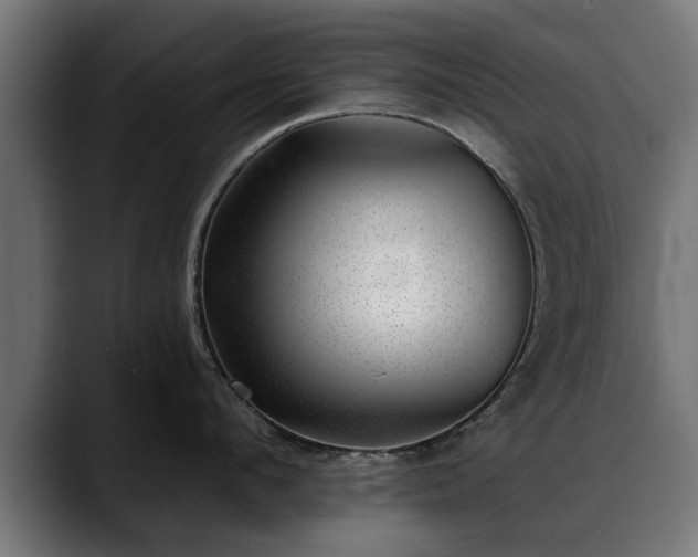 X0000088450912200705291510