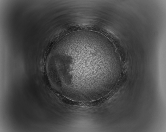 X0000088450917200705291510