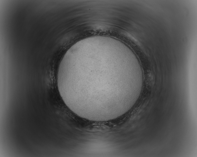 X0000088450918200705291510