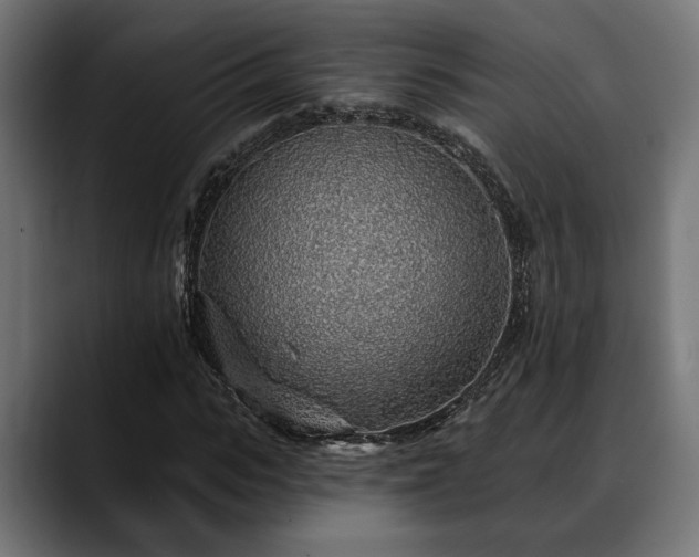 X0000088450919200705291510