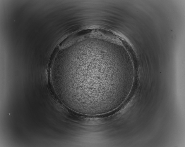 X0000088450921200705291510