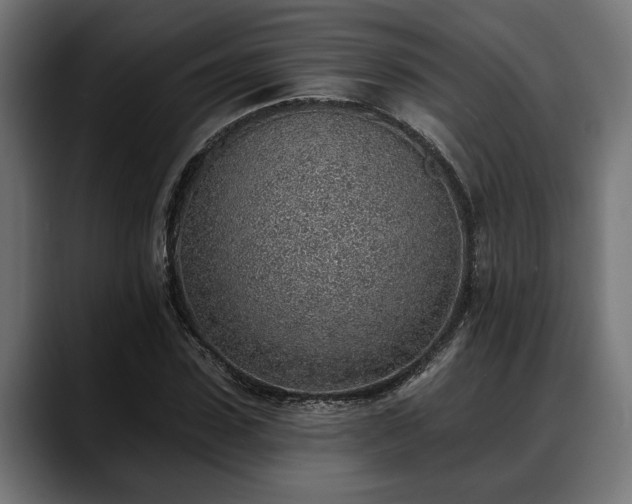 X0000088450923200705291510