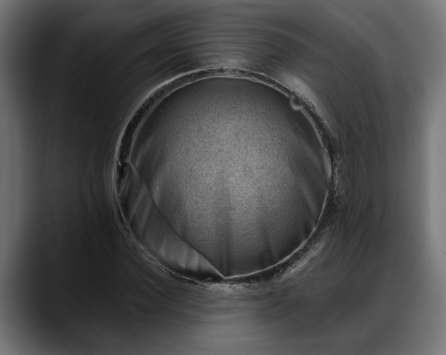 X0000088450924200705291510