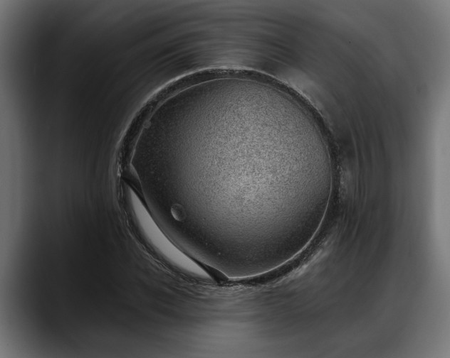 X0000088450926200705291510