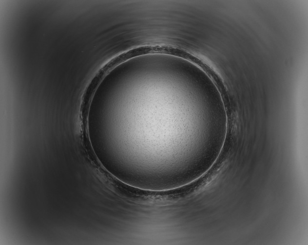 X0000088450927200705291510