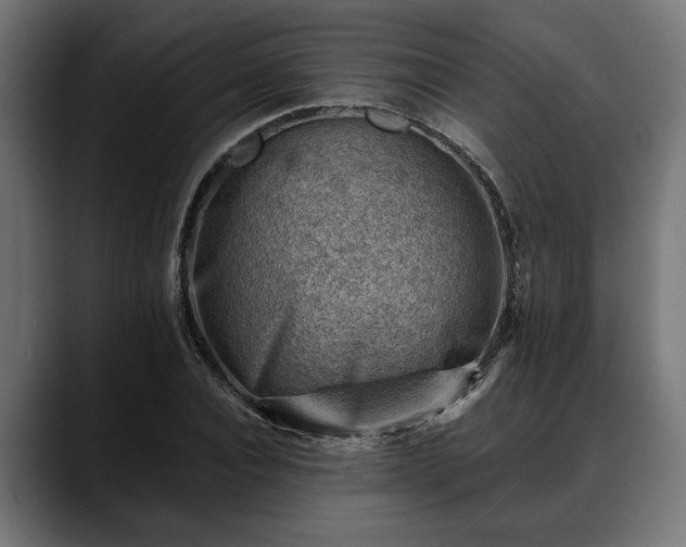 X0000088450928200705291510