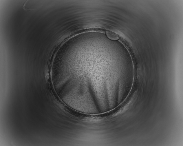 X0000088450929200705291510