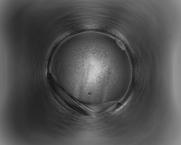 X0000088450930200705291510