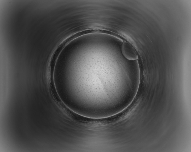 X0000088450931200705291510