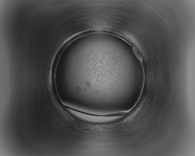 X0000088450932200705291510