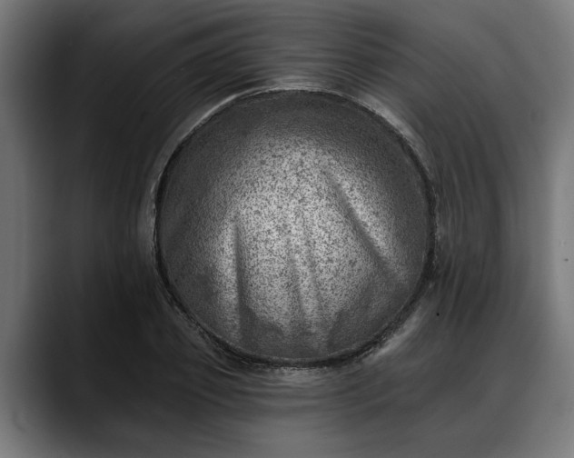 X0000088450933200705291510