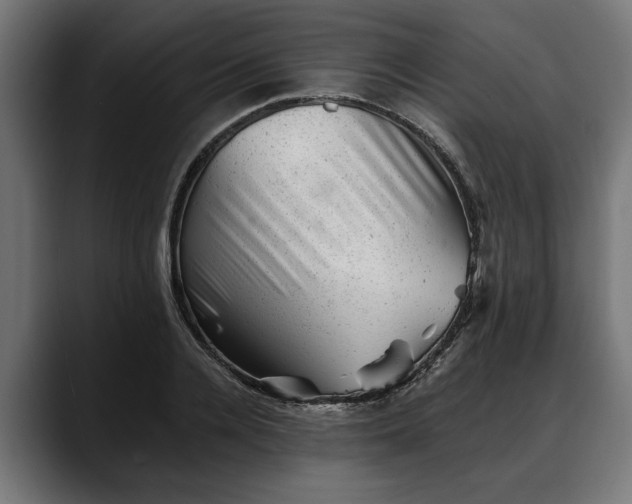 X0000088450936200705291510
