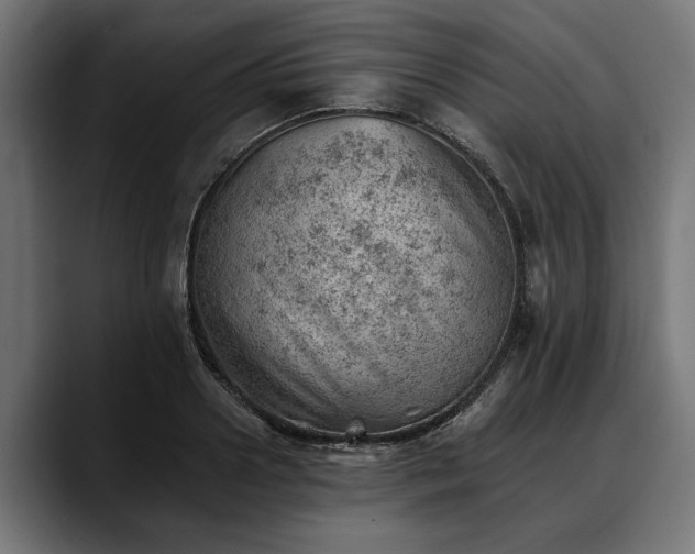 X0000088450938200705291510