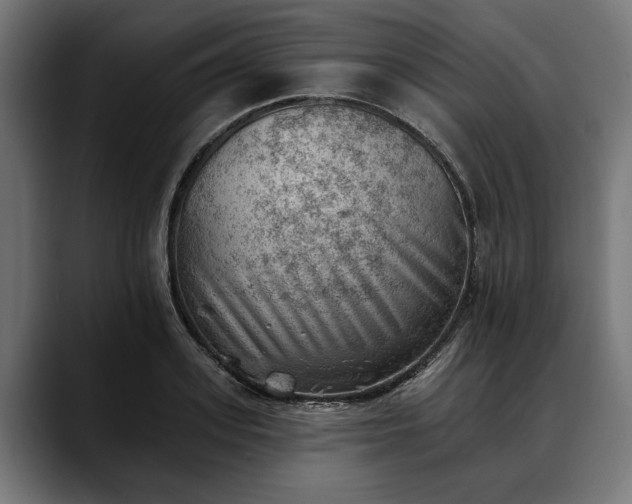 X0000088450939200705291510