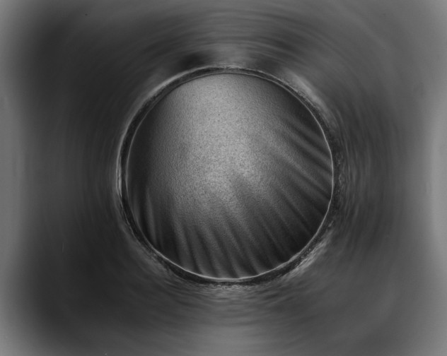 X0000088450940200705291510