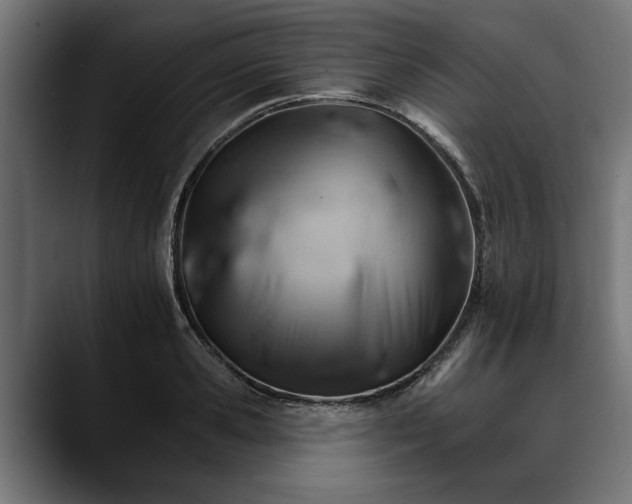 X0000088450941200705291510