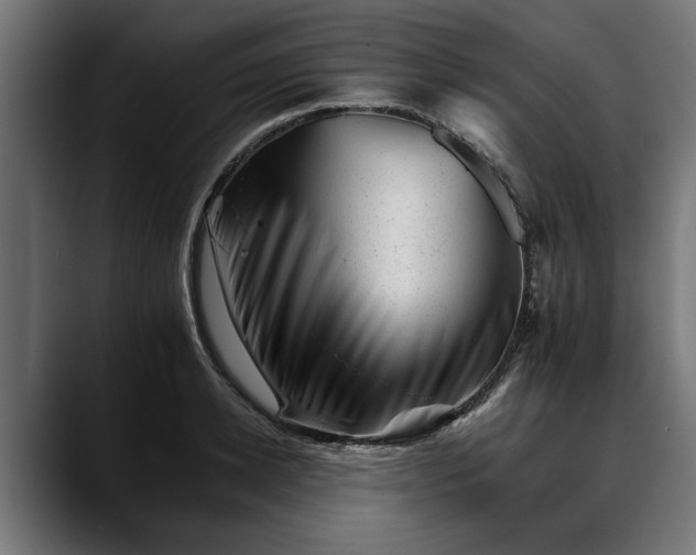 X0000088450942200705291510