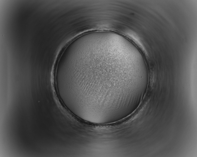 X0000088450944200705291510