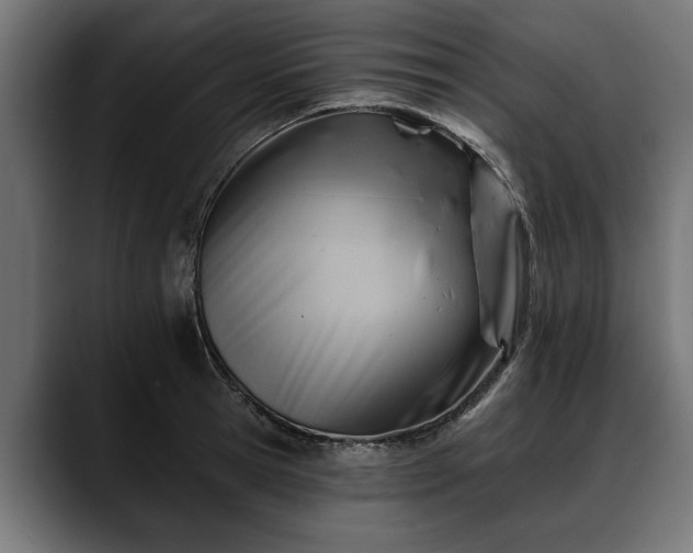 X0000088450945200705291510