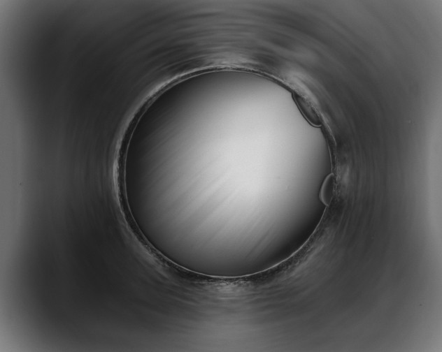 X0000088450947200705291510