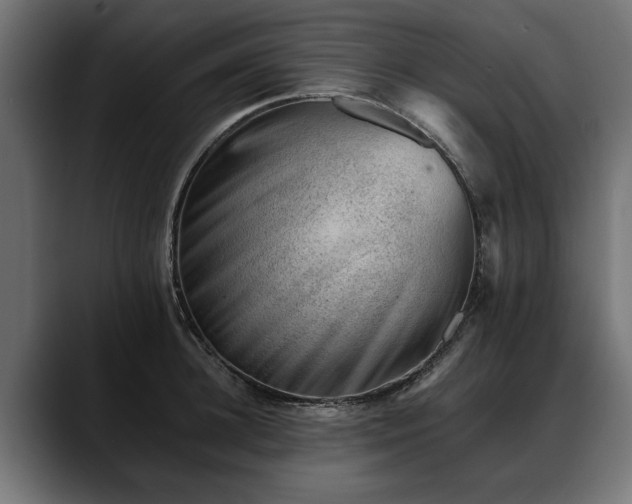 X0000088450948200705291510