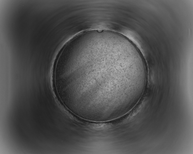 X0000088450949200705291510