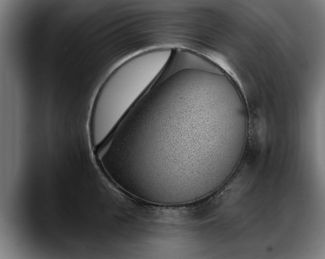 X0000088450951200705291510