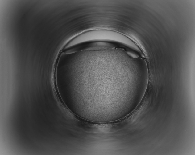 X0000088450952200705291510