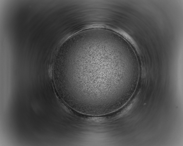 X0000088450953200705291510