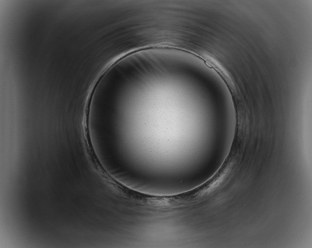 X0000088450956200705291510
