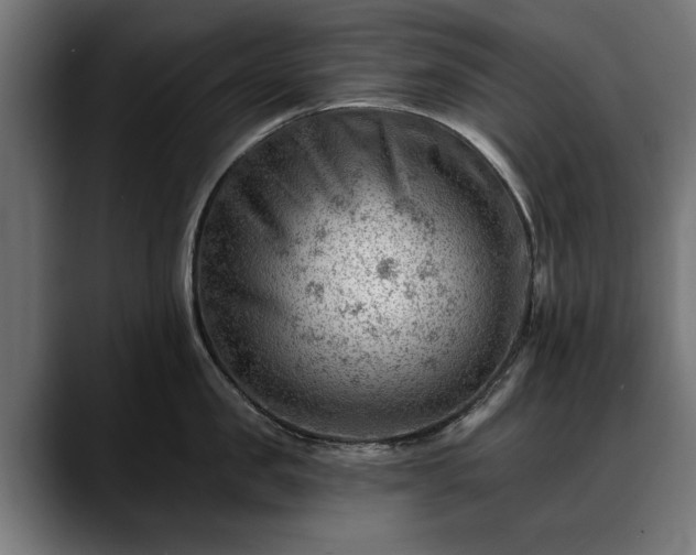 X0000088450957200705291510