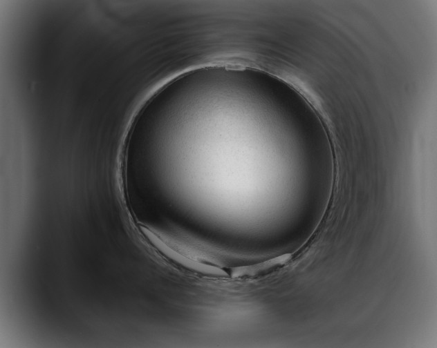 X0000088450960200705291510