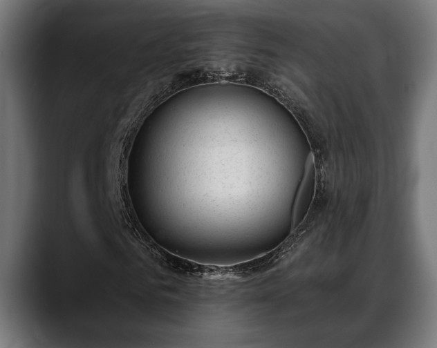 X0000088450961200705291510