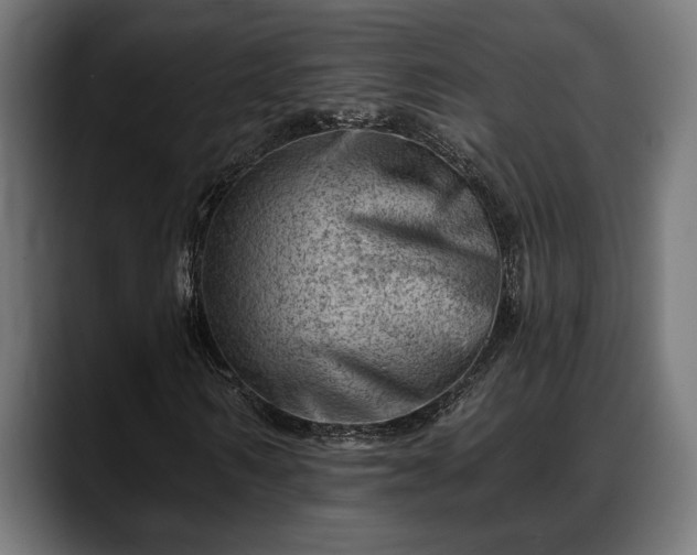 X0000088450962200705291510