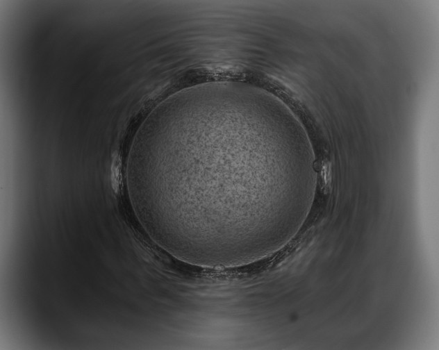 X0000088450963200705291510