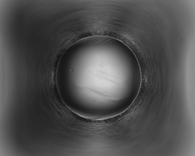 X0000088450964200705291510