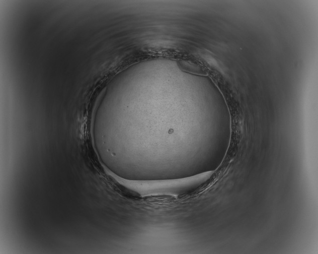 X0000088450965200705291509