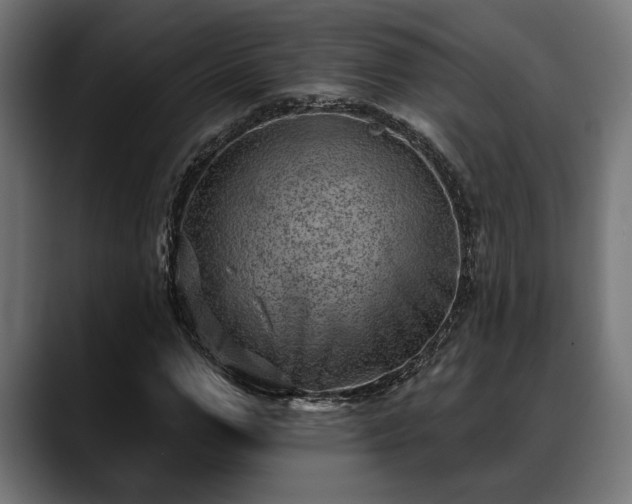 X0000088450967200705291509